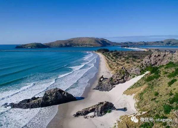 阳光+海滩，是你要的新西兰吗？
