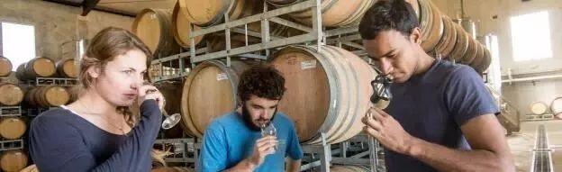 敲黑板！新西兰葡萄酒专业课程全解析